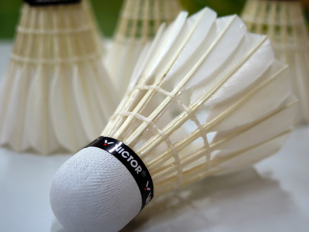 Bienvenue sur le site officiel du club de badminton de PONS